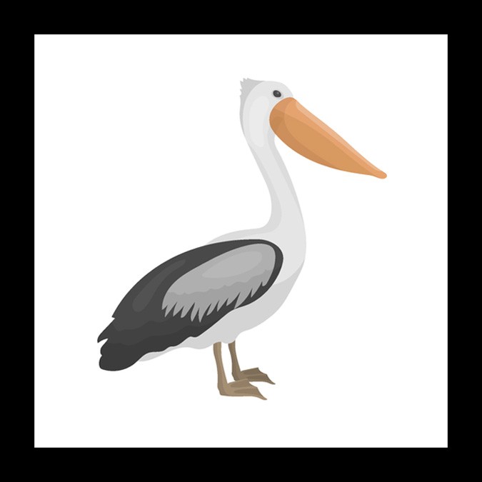 pelican meaning and mother symbol