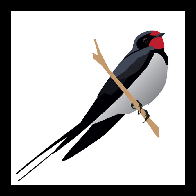 swallow bird meaning and mother symbols