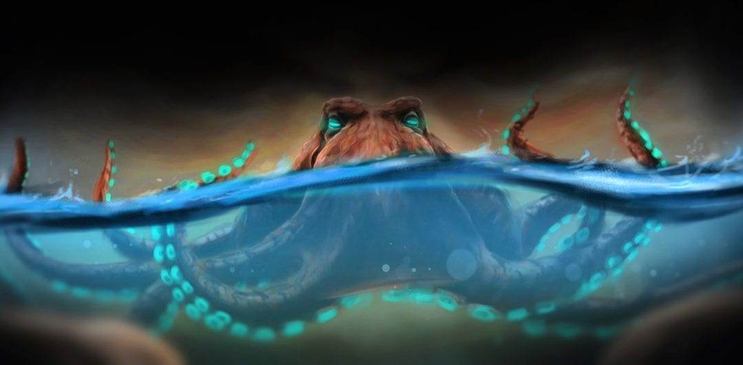 Octopus Animal Symbolism Octopus Meaning on WhatsYourSign