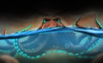 octopus animal symbolism, and octopus meaning
