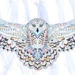 owl tattoo meaning