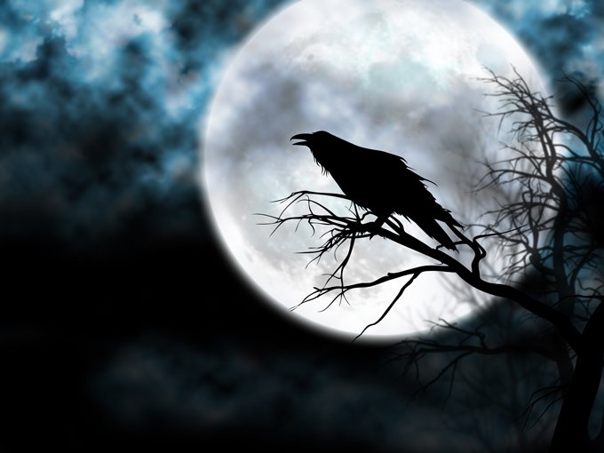 RavenSymbolism6.jpg