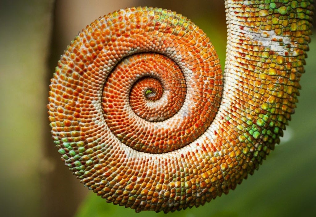spiral meaning