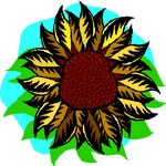 sunflower meaning solstice symbol