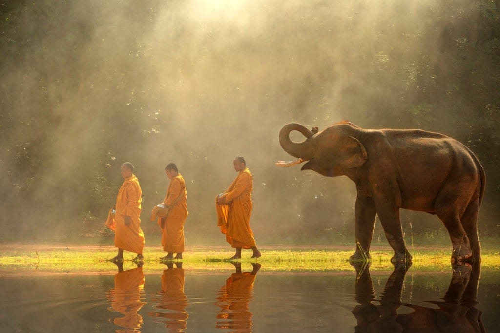 Burmese Zodiac Animal Signs Elephant Monks