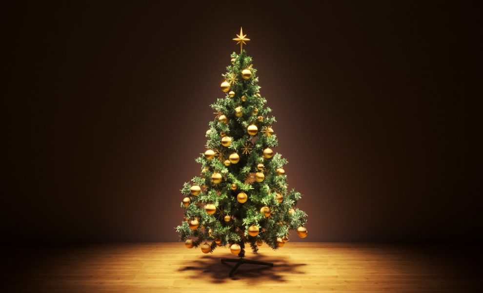 Symbolic Meaning of the Christmas Tree on WhatsYourSign