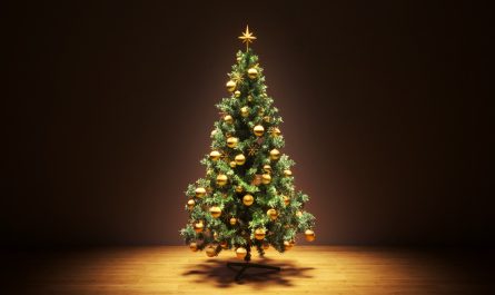 Christmas Tree Symbolism and Meaning of Christmas Tree