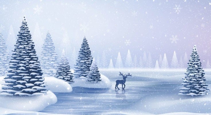 Symbolic Meaning of the Christmas Tree on WhatsYourSign