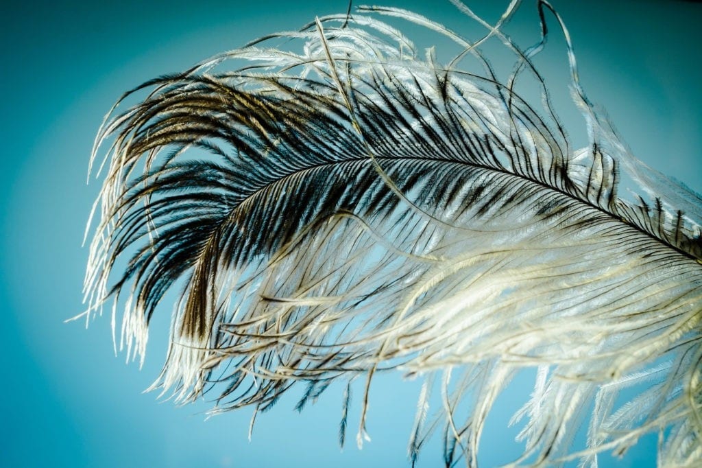 symbolic meaning of feathers