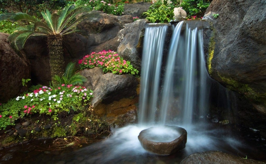 Water garden meaning