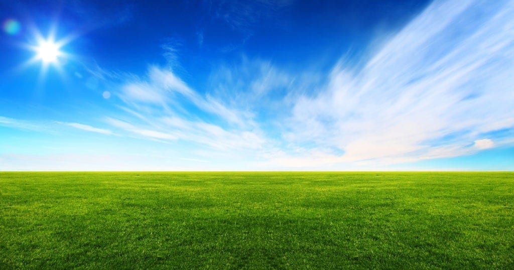 Symbolic Meaning of Grass and Roots on WhatsYourSign