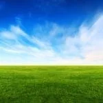 meaning of grass