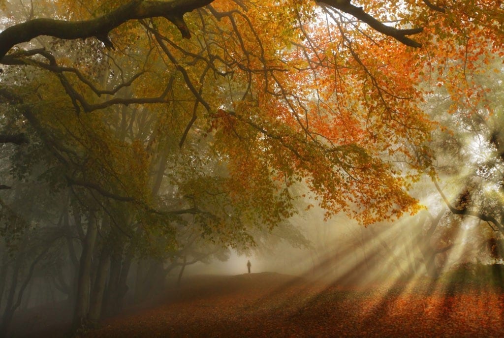 meaning of halloween meaning of samhain