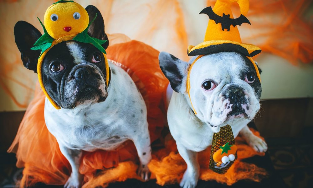 symbolic meaning of halloween and meaning of mumming symbolic meaning of halloween and meaning of mumming