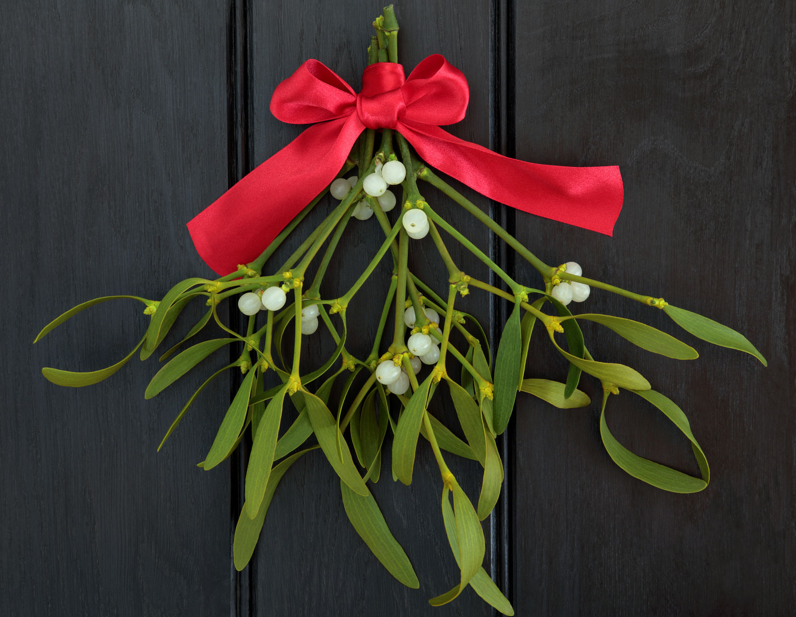 Mistletoe Meaning  It s More Than a Christmas  Decoration  
