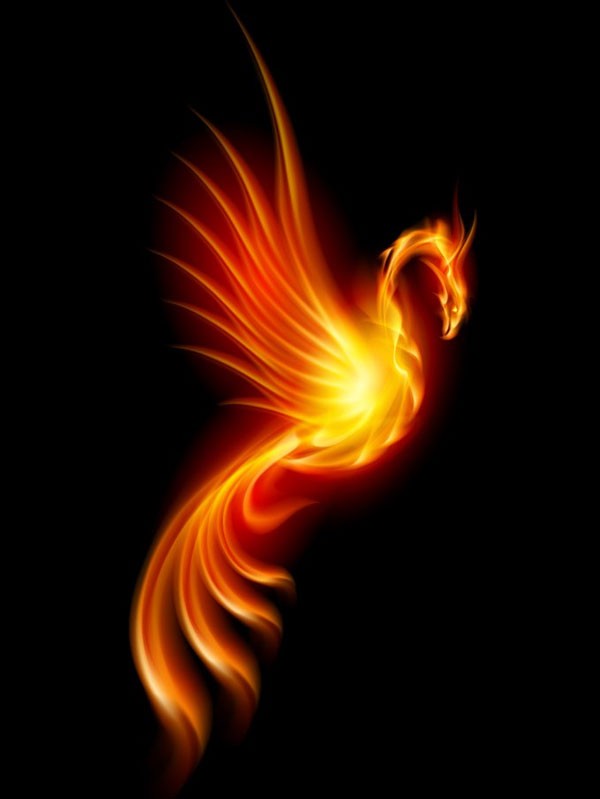 meaning of the phoenix