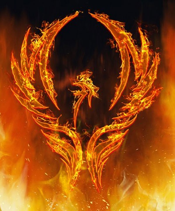 meaning of the phoenix