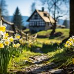 Symbolic Daffodil Meanings