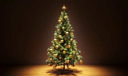 Symbolic & Spiritual Meaning of the Christmas Tree