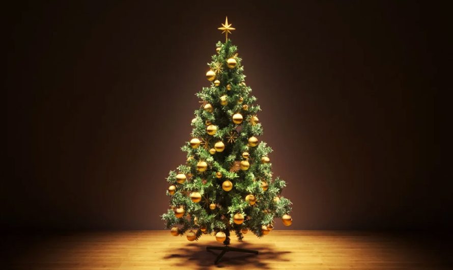 Symbolic Meaning of the Christmas Tree