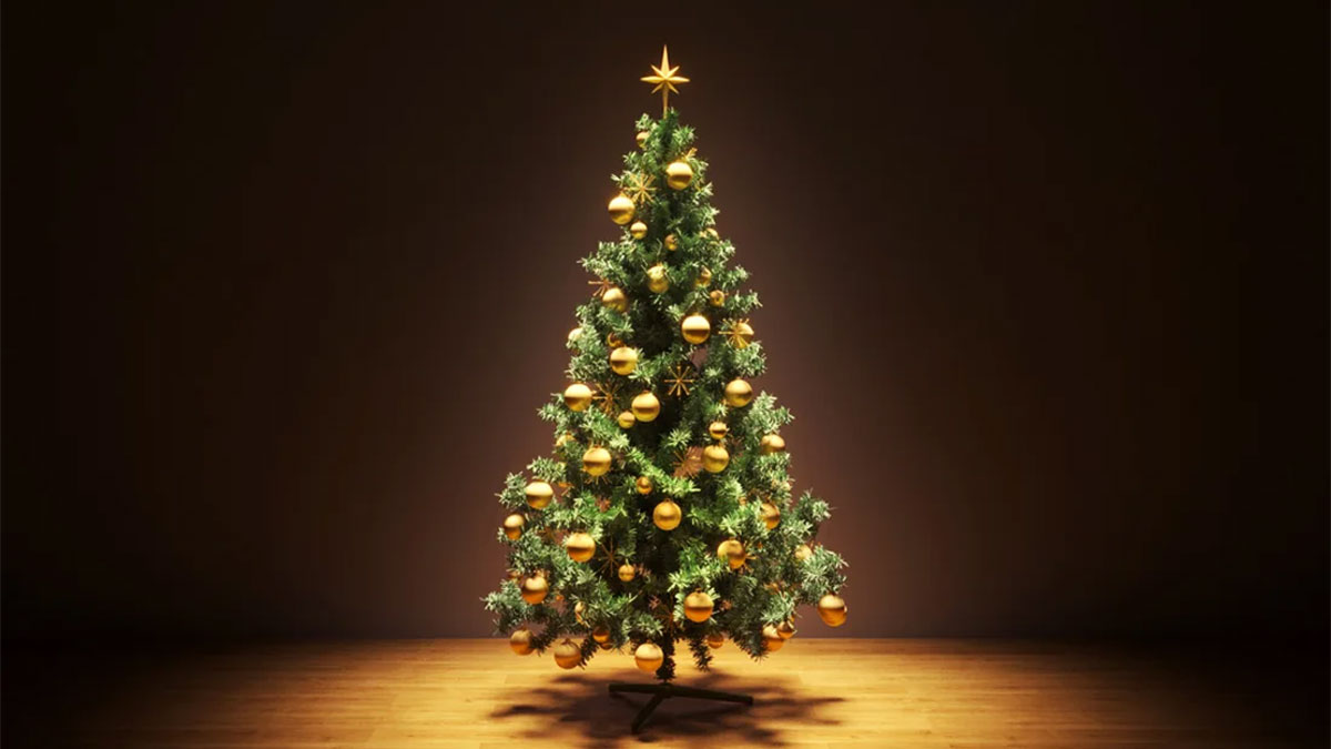 Symbolic & Spiritual Meaning of the Christmas Tree