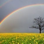 symbolic meaning of rainbows