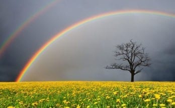 symbolic meaning of rainbows