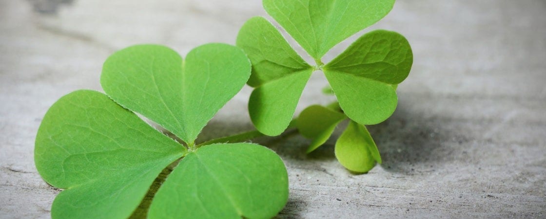 symbolic shamrock meaning