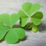 symbolic shamrock meaning