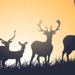 symbolic stag tattoo ideas