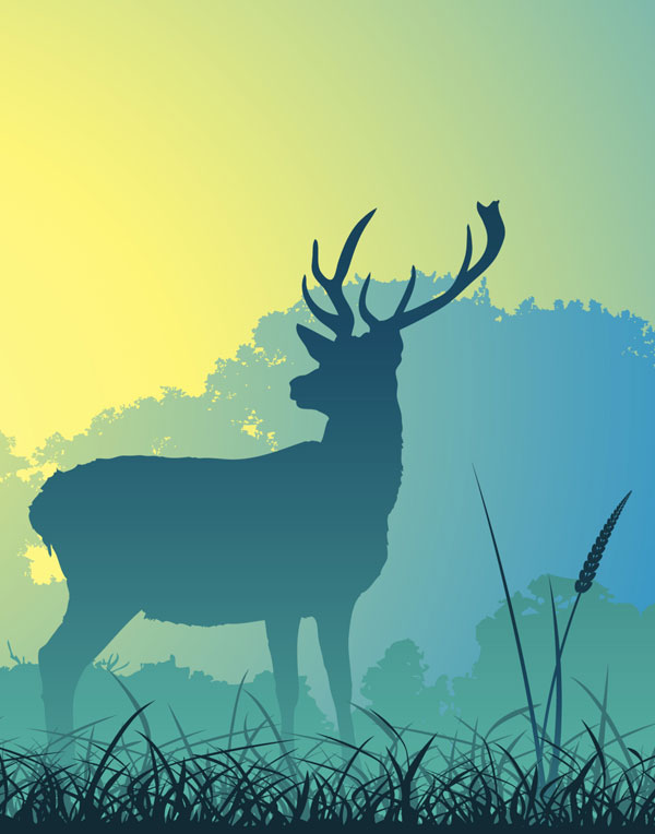 symbolic stag meaning and stag tattoo ideas 