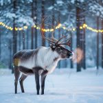 Symbolic and Spiritual Meaning of Reindeer