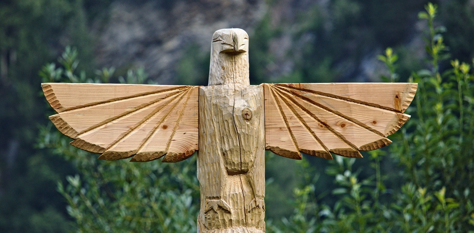 Thunderbird Native American Symbol