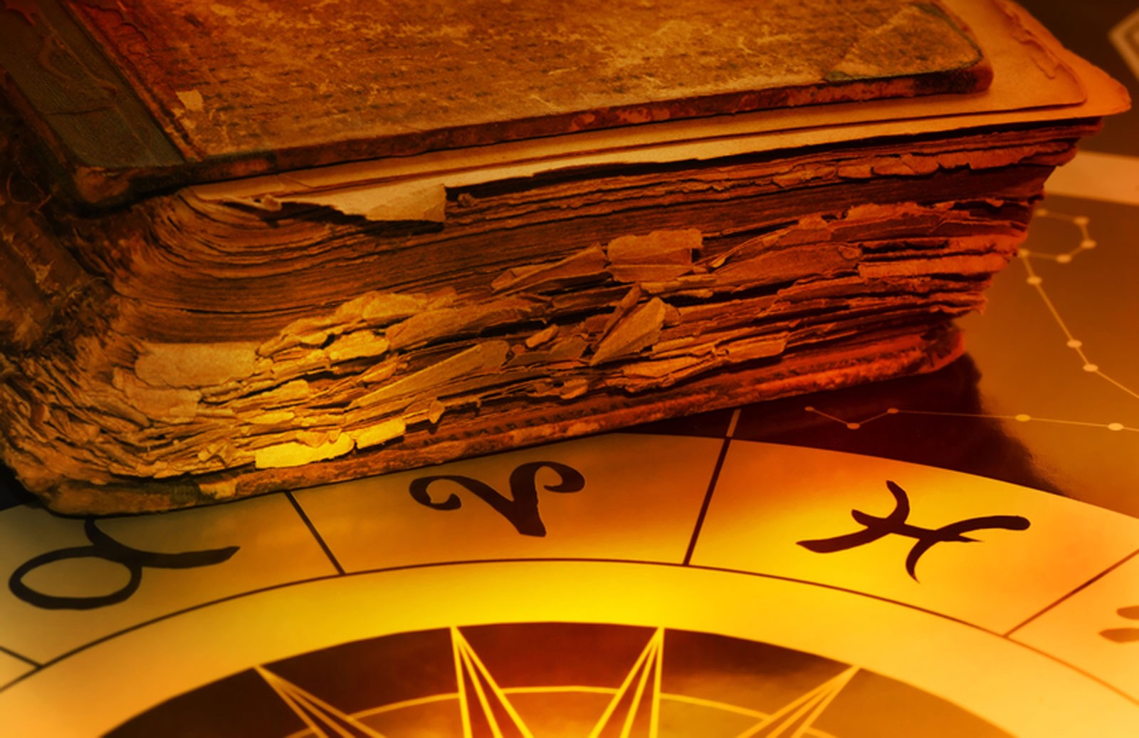 Zodiac Sign Dates and Meanings on WhatsYourSign