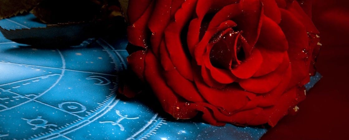 zodiac flower sign meanings