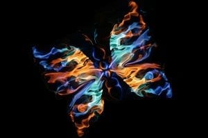 butterfly meaning and law of attraction