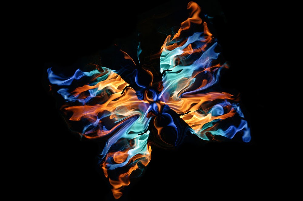 butterfly meaning and law of attraction