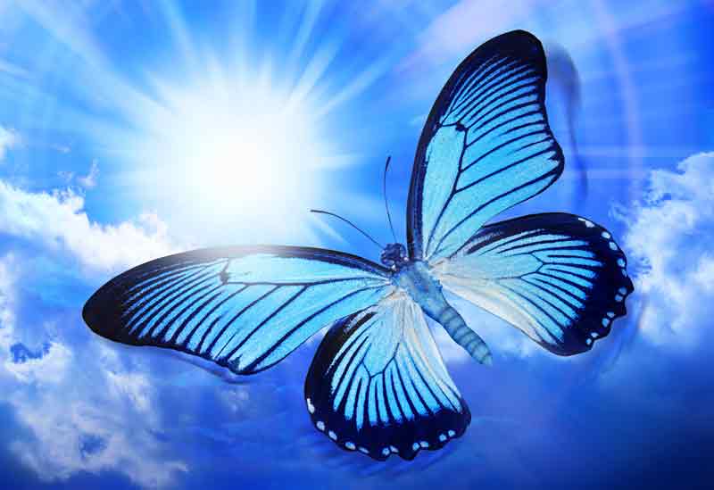 Celtic butterfly sign meaning