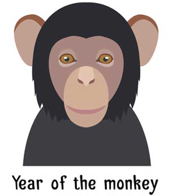 Chinese Year Of The Monkey