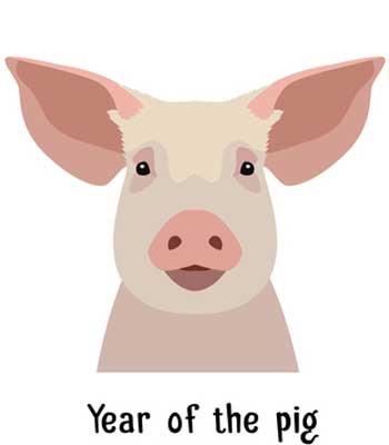 Chinese Year Of The Pig