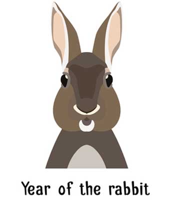 Chinese Year Of The Rabbit