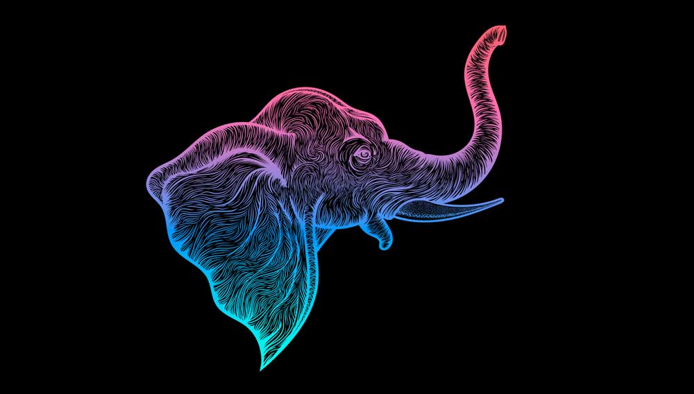 Elephant Tattoo Ideas