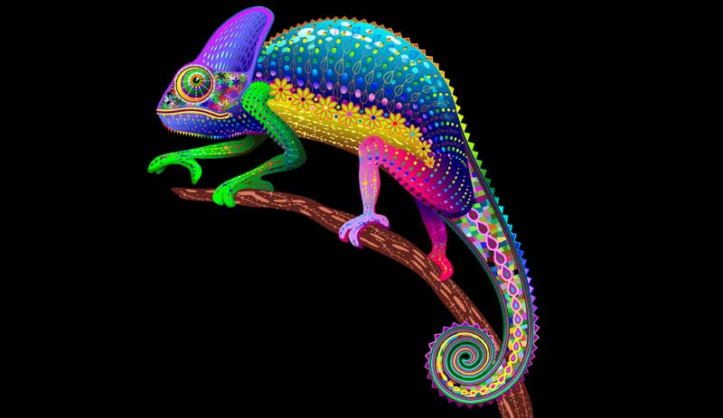 lizard dream meanings