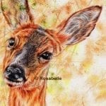 Deer artwork by Rosabelle Art