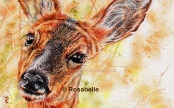 Deer artwork by Rosabelle Art