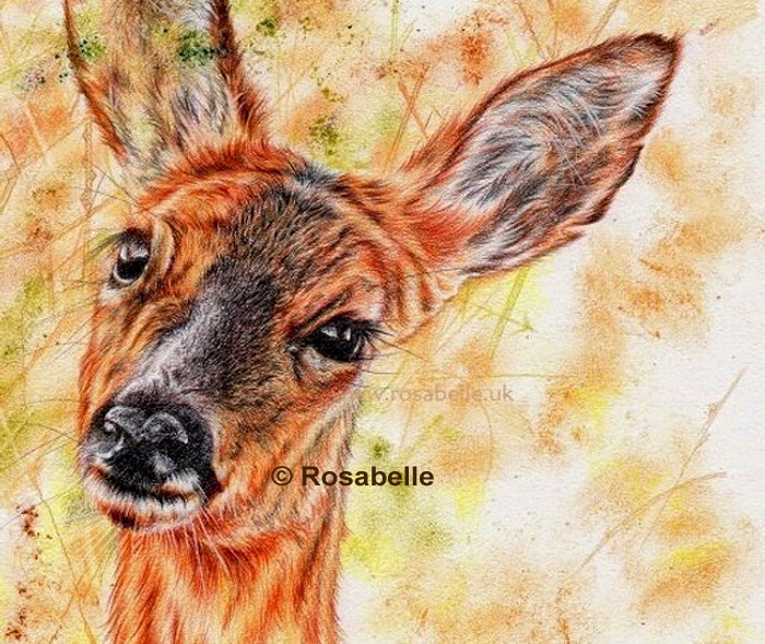 Deer artwork by Rosabelle Art