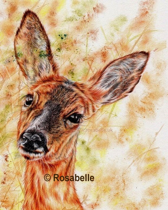 Deer artwork by Rosabelle Art