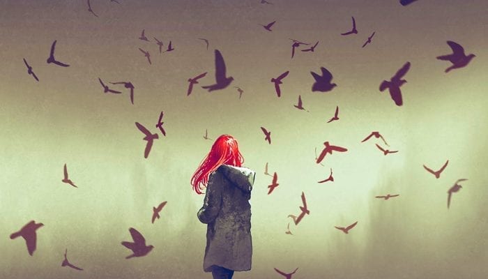 dreaming of birds and dream meaning