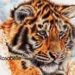 Tiger artwork and symbolic tiger meanings