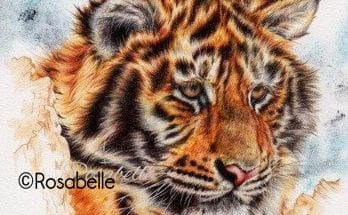 Tiger artwork and symbolic tiger meanings